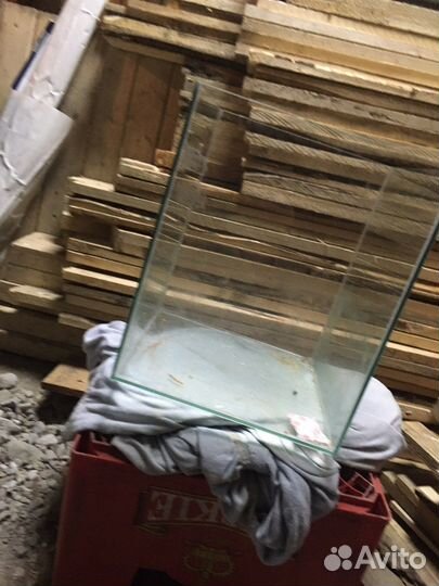 Аквариумные рыбки и растения