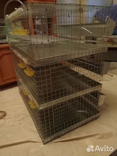 Клетка для перепелов на 90 голов укомплектована