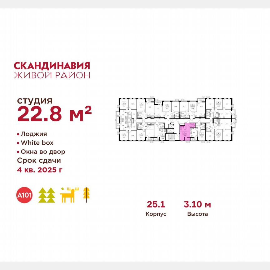 Квартира-студия, 22,8 м², 10/14 эт.