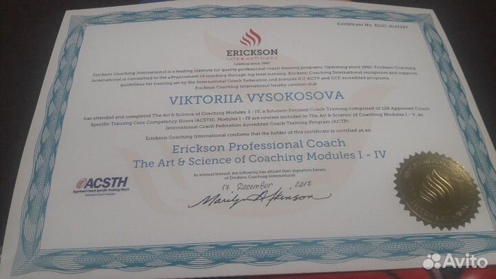 Коуч, ментор, наставник - Виктория Высокосова