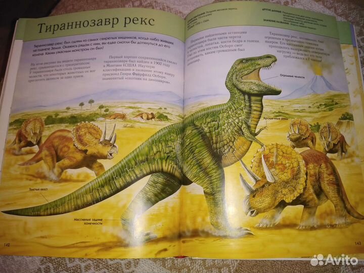 Книга для детей. Энциклопедия 