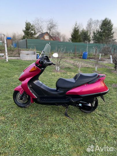Honda fes250 foresight ex