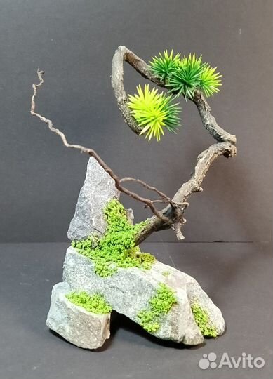 Дерево бонсай подарок