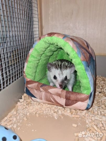 Домик для ежика мягкий, теплый