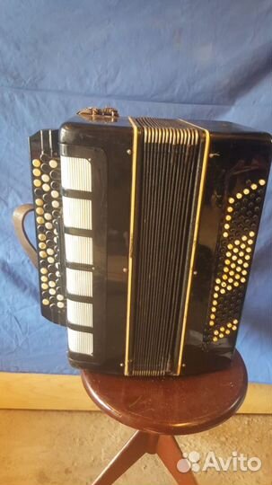 Баян вологодский