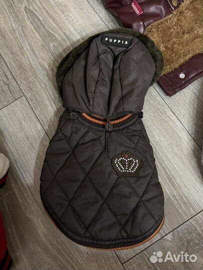 Курточки на маленькую собачку