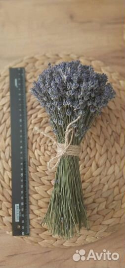 Лаванда сухоцвет