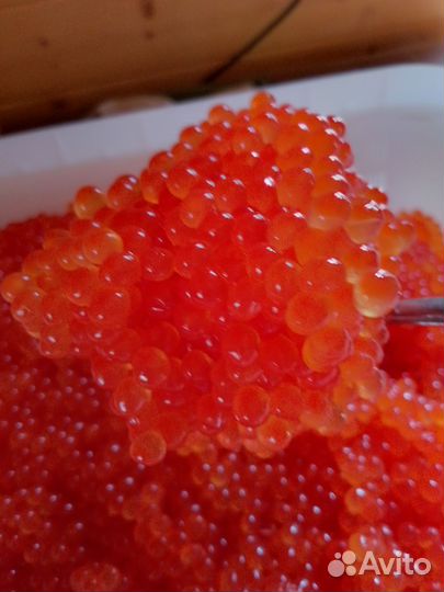 Свежая икра горбуши кеты 2024г