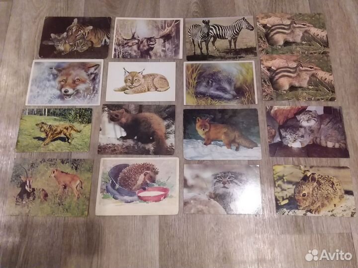 Открытки животные,птицы СССР 54 штуки