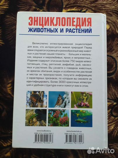 Энциклопедия