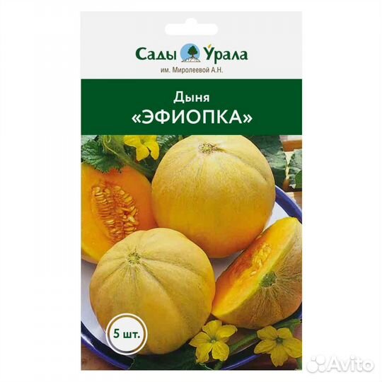 Дыня «Эфиопка» - семена питомника Сады Урала