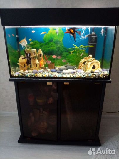 Аквариум