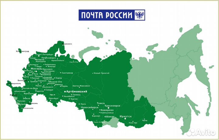 Курильский чай Пинк Виспе (лапчатка) - саженцы зкс