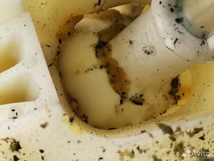 Кулиса кпп для Ford Mondeo 4 7G9R7C453CKJ