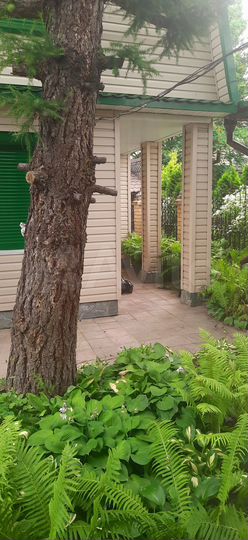 Дача 87 м² на участке 6,3 сот.