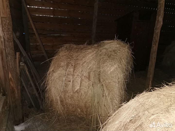 Сено в тюках