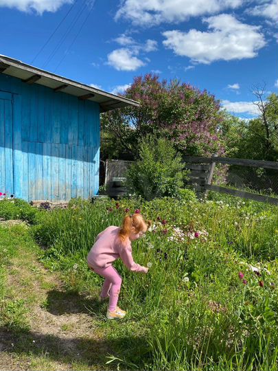 Дом 60 м² на участке 40 сот.