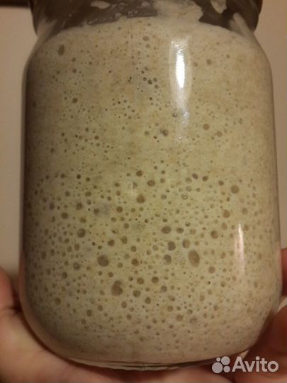 Квас медовый+ Квасная гуща Закваска 8лет Кеф. гриб