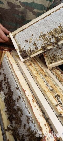Мед натуральный