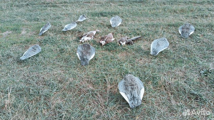 Пакеты, чучела для охоты