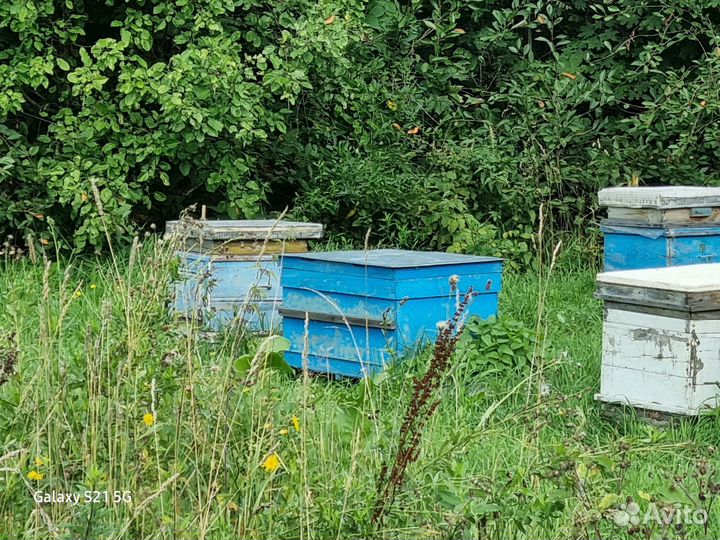 Улей 24 рамки