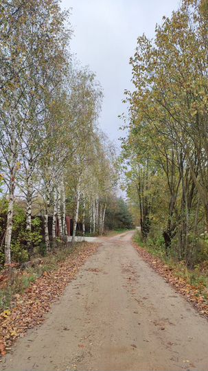 Участок 24 га (ИЖС)