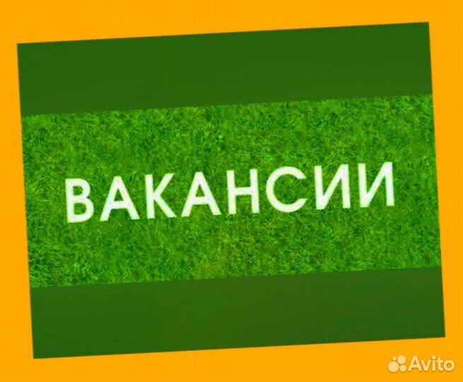 Грузчик Работа вахтой жилье/еда Выплаты еженедельно