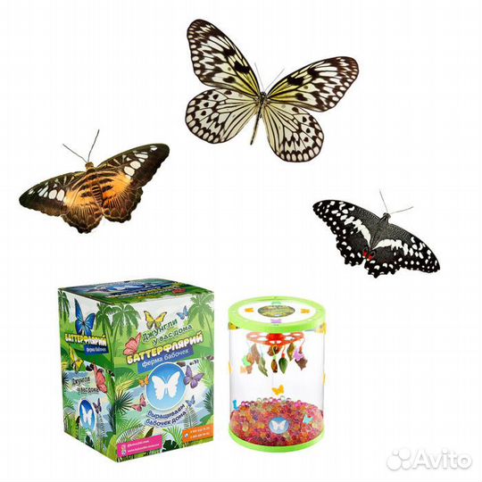 Ферма бабочек - Баттерфлярий