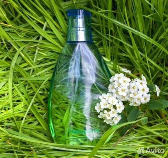 Натюрель. Ив Роше