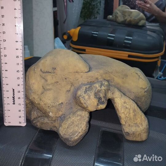 Убежище домик для змеи