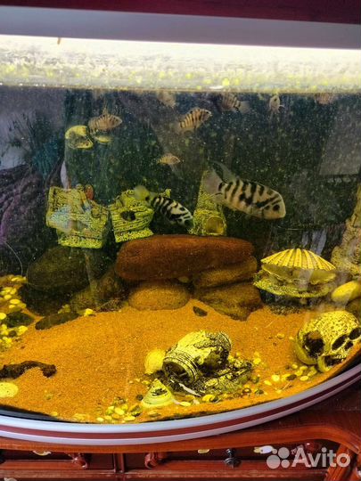 Украшение для аквариума