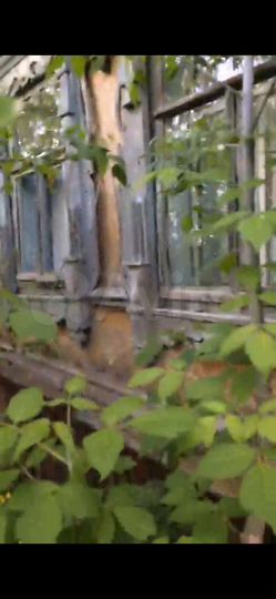 Дом 65 м² на участке 50 сот.