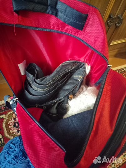 Рюкзак женский с вещами