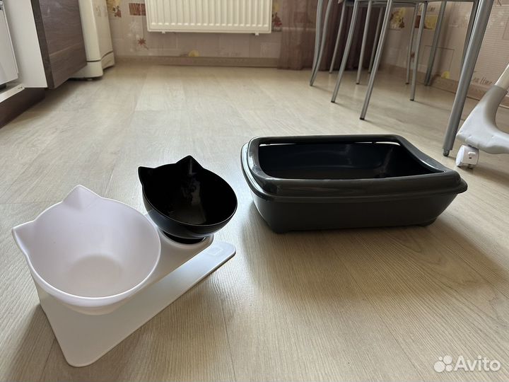 Лоток для кошек и миски
