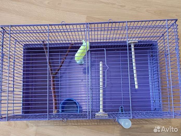 Клетка для попугая