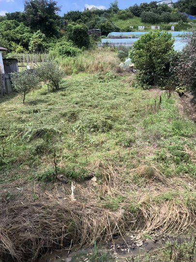 Участок 5 сот. (ИЖС)