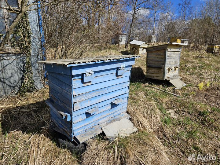 Продам ульи для пчёл