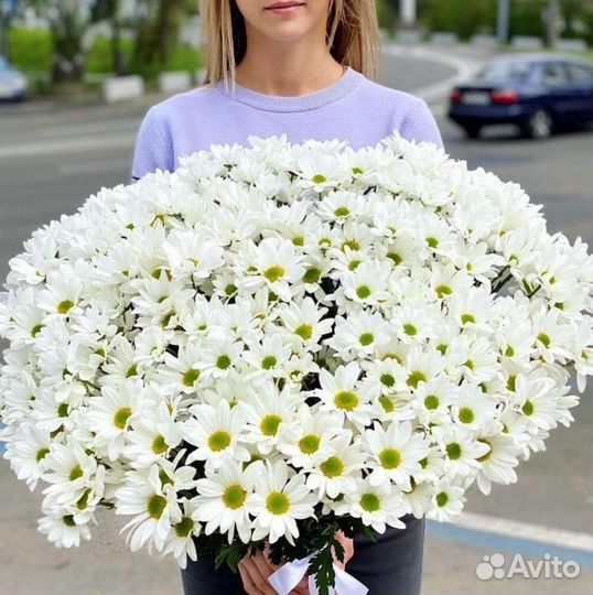 Хризантема Доставка цветов