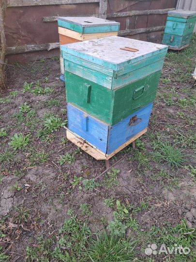 Пчелы и улья