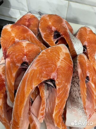 Форель радужная из Карелии