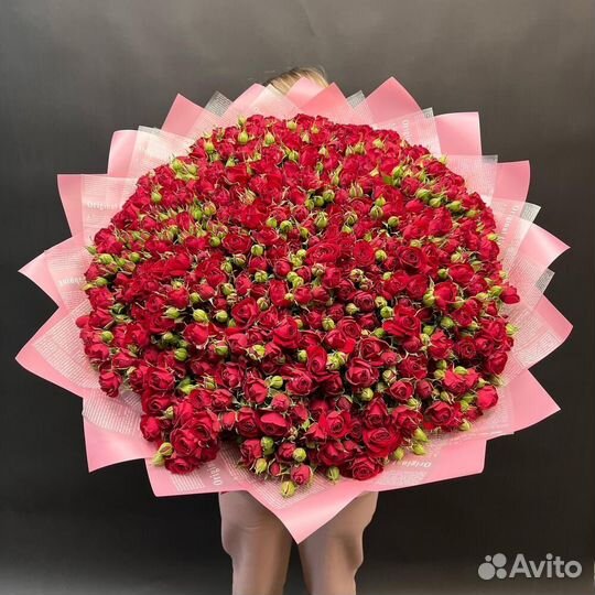 Букет из 101 красной кустовой розы