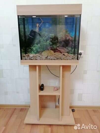 Аквариум обмен