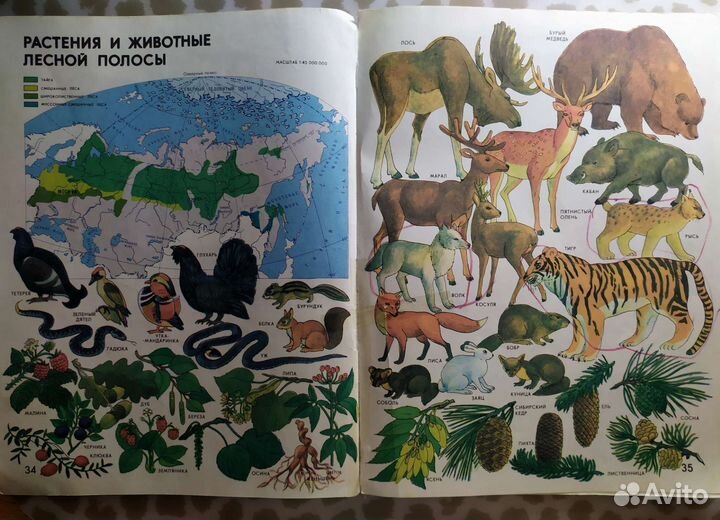 Учебники СССР