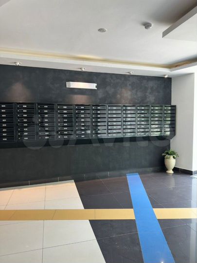 Квартира-студия, 23,6 м², 15/25 эт.