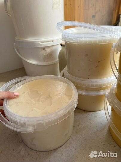 Мед цветочный луговой и разнотравие 3л