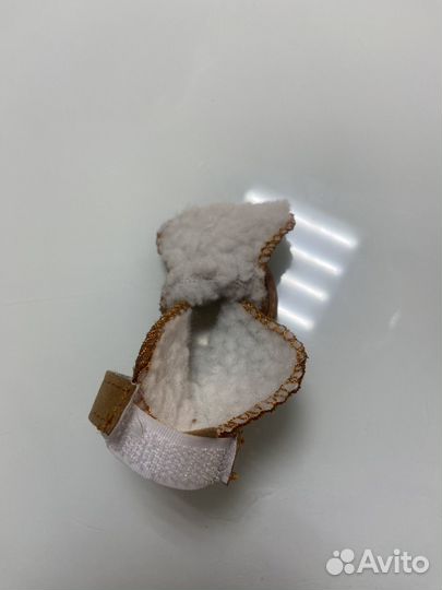 Обувь ботинки для собак мелких пород