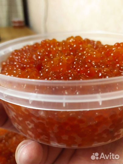 Икра горбуши этого года Владивосток