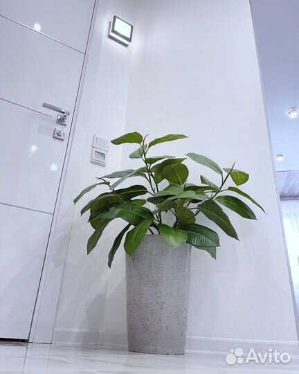 Кашпо для цветов