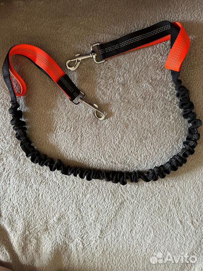 Товары для животных