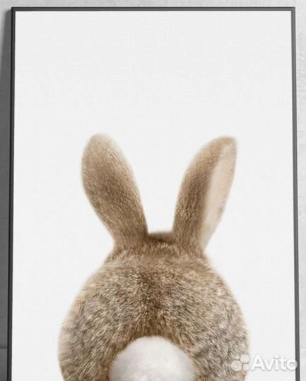 Постеры 30 на 40